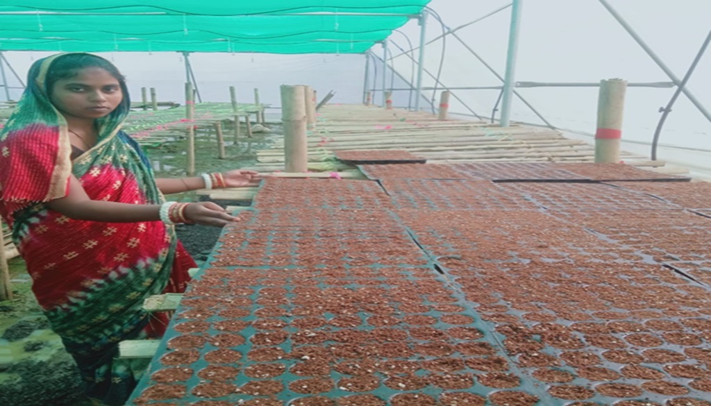 Micro Agri Enterprise Empowers Malati Mohanta